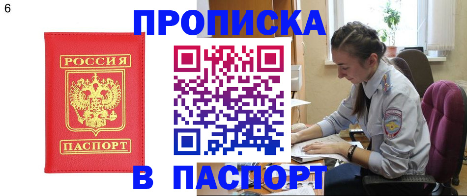 прописка гарантия в Королёве